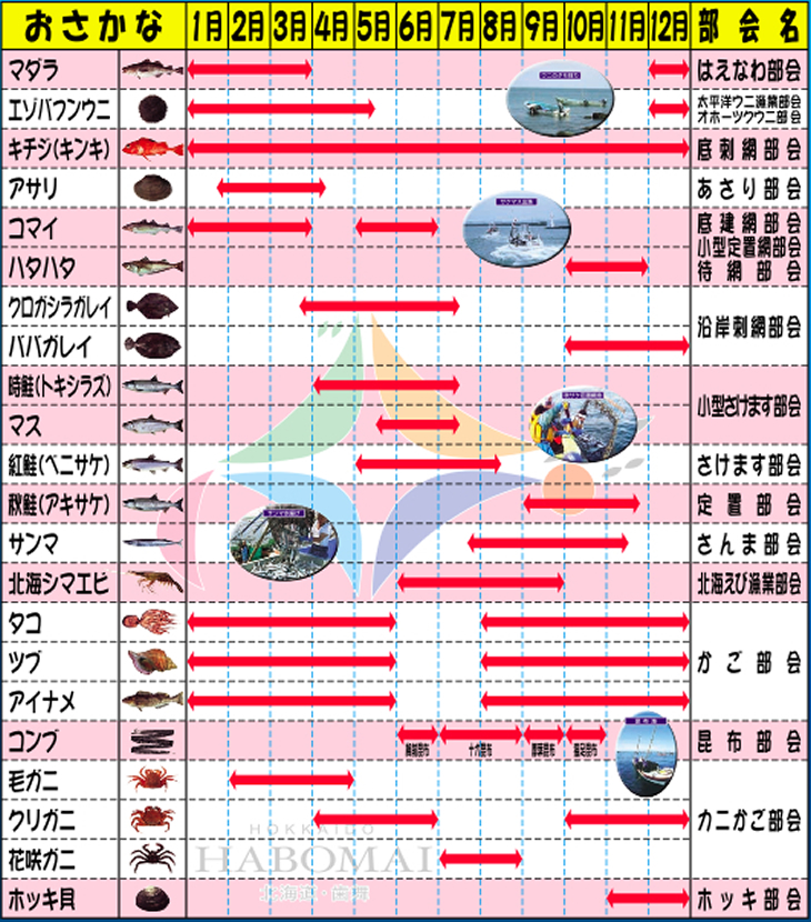 歯舞ブランド化推進協議会お魚カレンダー